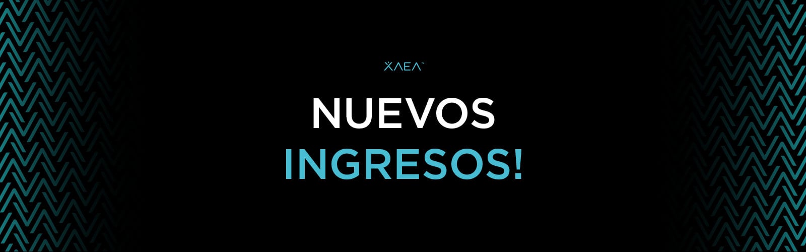 Novedades